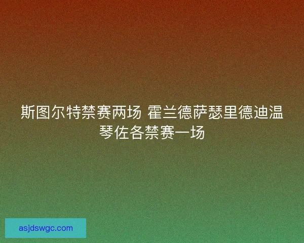斯图尔特禁赛两场 霍兰德萨瑟里德迪温琴佐各禁赛一场
