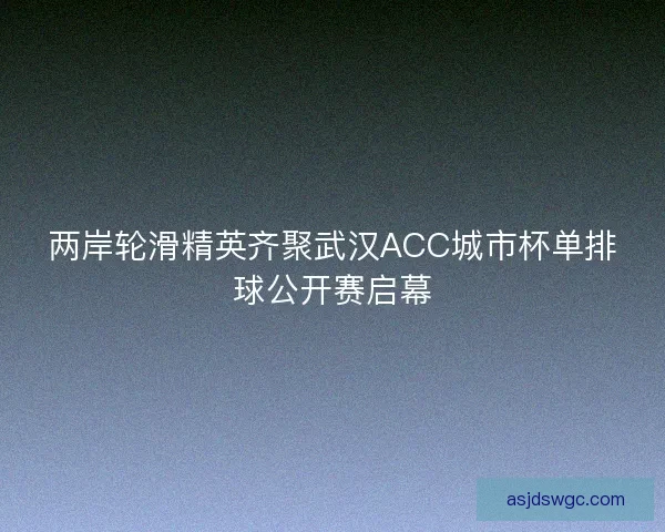 两岸轮滑精英齐聚武汉ACC城市杯单排球公开赛启幕
